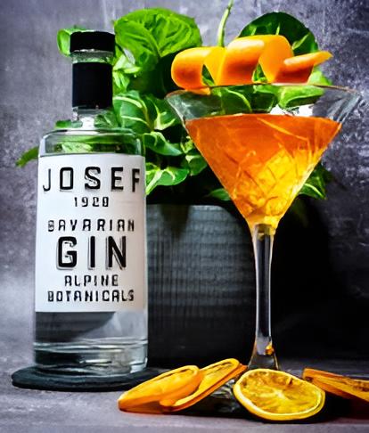 PARTYbox Gin 2 Flaschen BIO Josef Gin 1x Blutorange und 1x Alpine Botanicals je 0,5 L