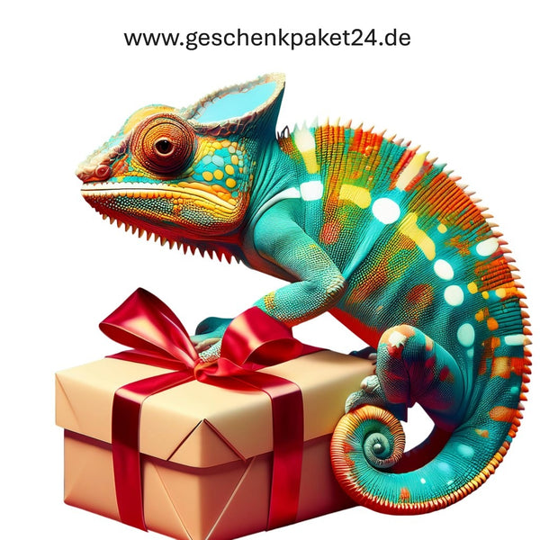 Geschenkpaket24.de