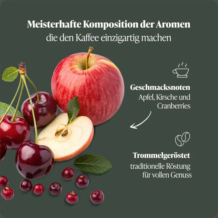 N°1 Farmers Gold – Feinste Höhenlagenqualität – Microlot Rarität aus Nicaragua