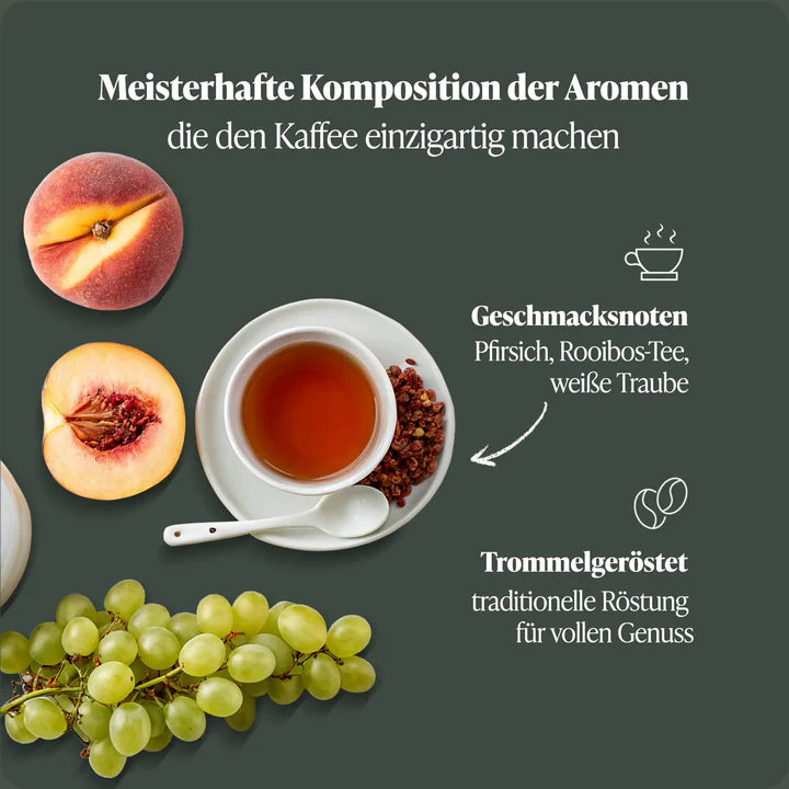 N°1 Dos Lorenzos – Der Gipfel des Kaffeegenusses – Microlot Rarität aus Nicaragua